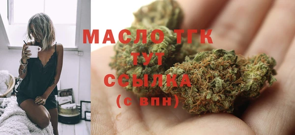 прущий лед Каменка