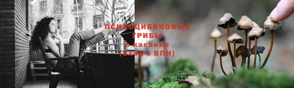наркотики Каменногорск