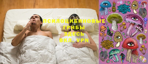 прущий лед Каменка