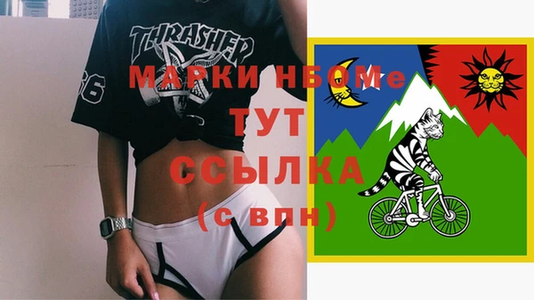 прущий лед Каменка