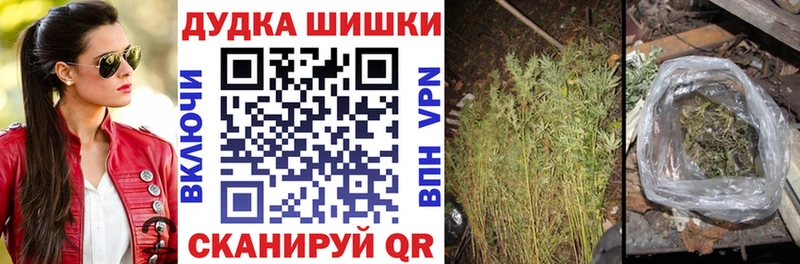 Каннабис ГИДРОПОН  Купить где  Любань 